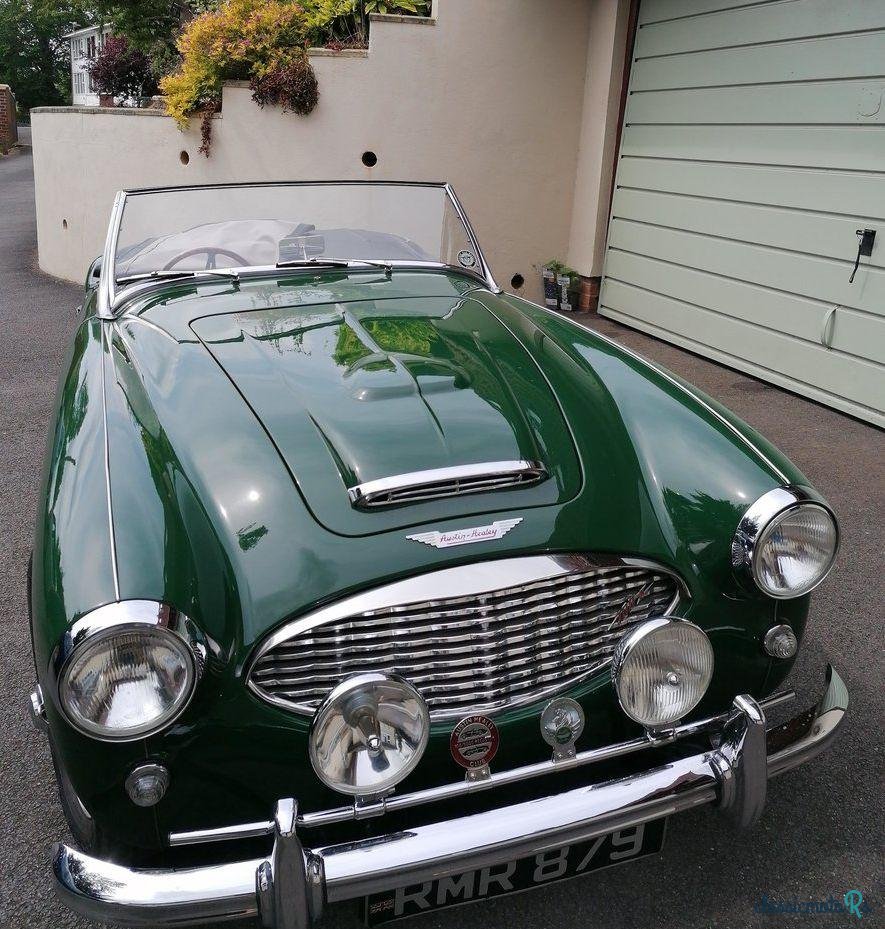 1958' Austin-Healey 100-6 photo #4