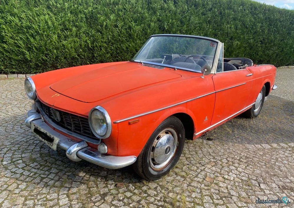 1965' Fiat photo #1