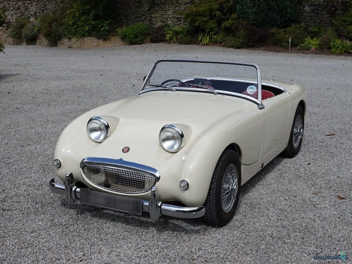 1959' Austin-Healey Sprite photo #1