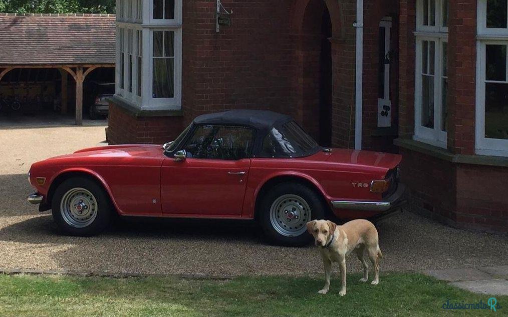 1975' Triumph TR6 photo #4