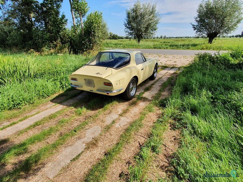 1967' Puma GT photo #4