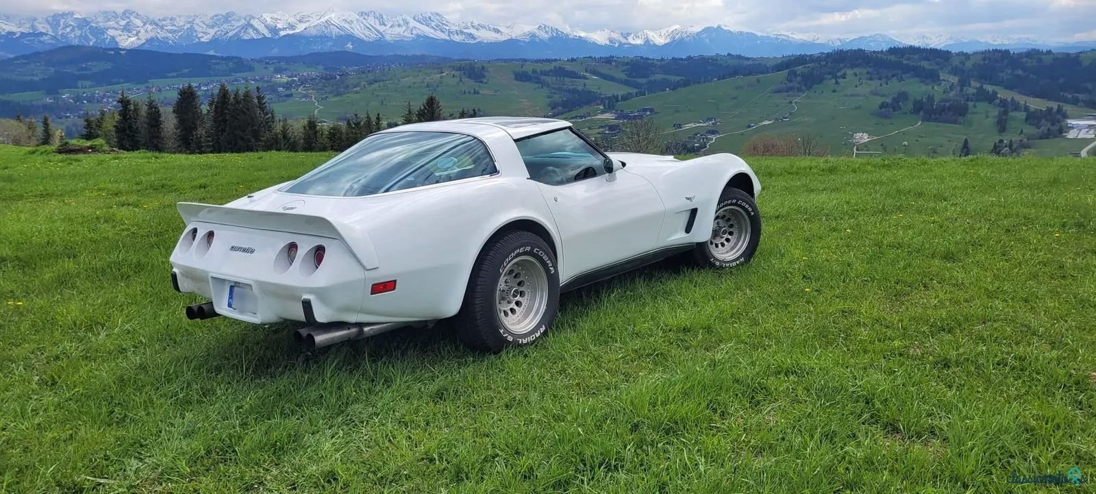 1978' Chevrolet Corvette photo #6