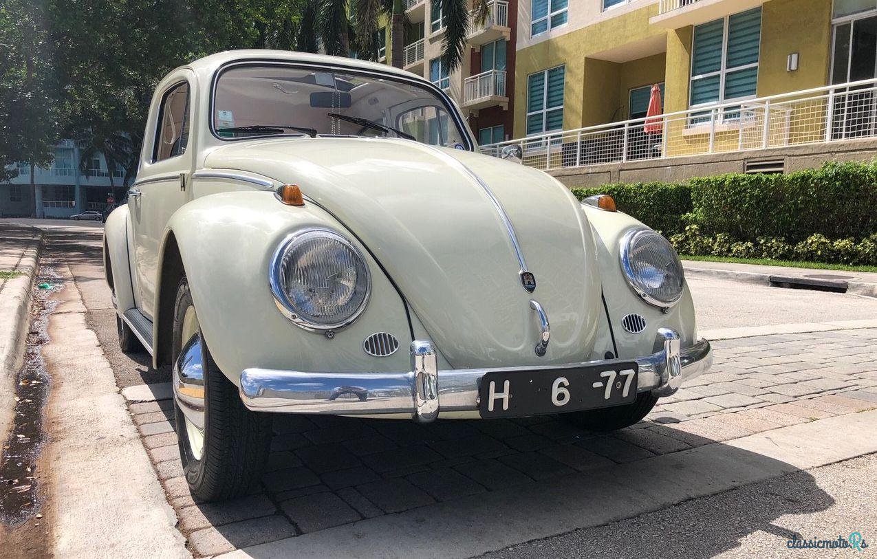 1961' Volkswagen Beetle photo #3