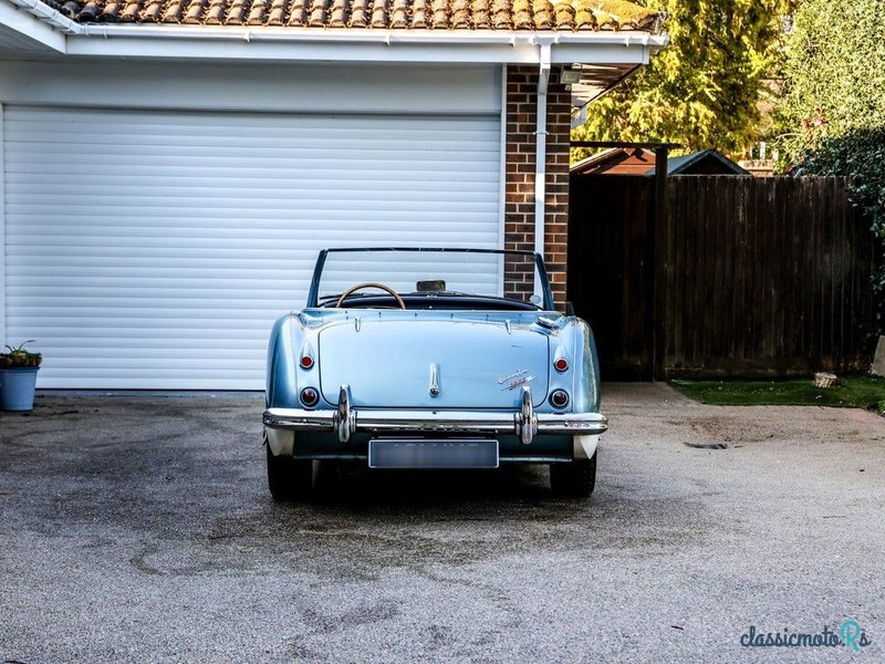 1960' Austin-Healey 3000 photo #6