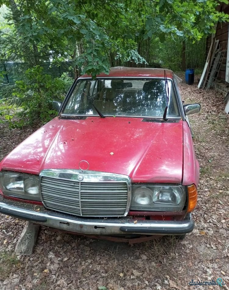 1977' Mercedes-Benz W123 photo #2
