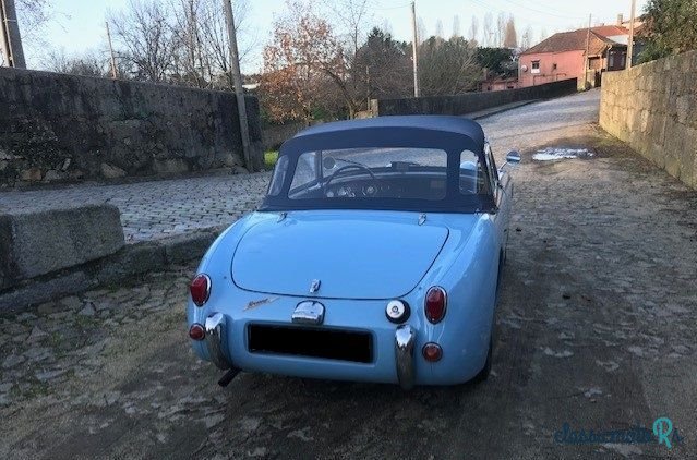 1959' Austin-Healey Sprite photo #5