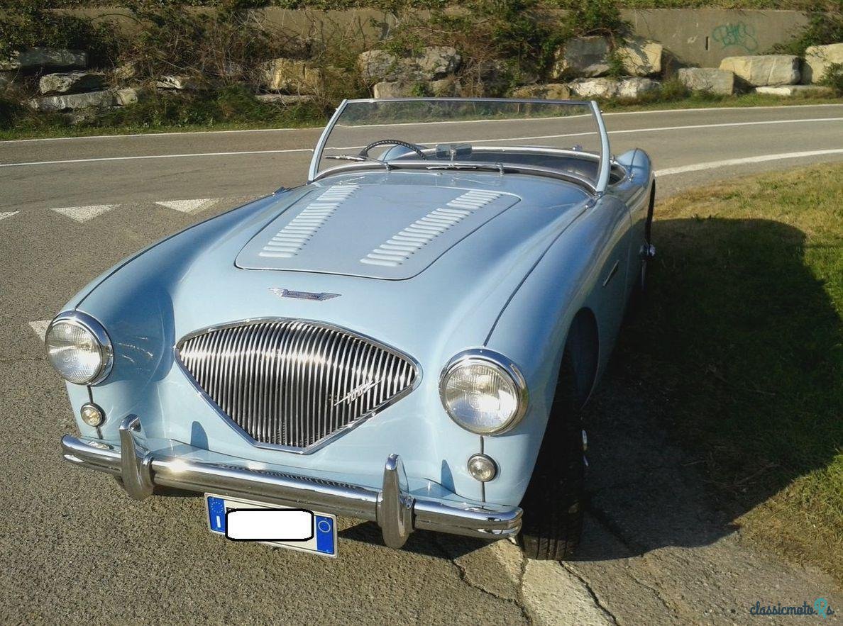 1953' Austin-Healey 100-4 100/4   Bn1 photo #3