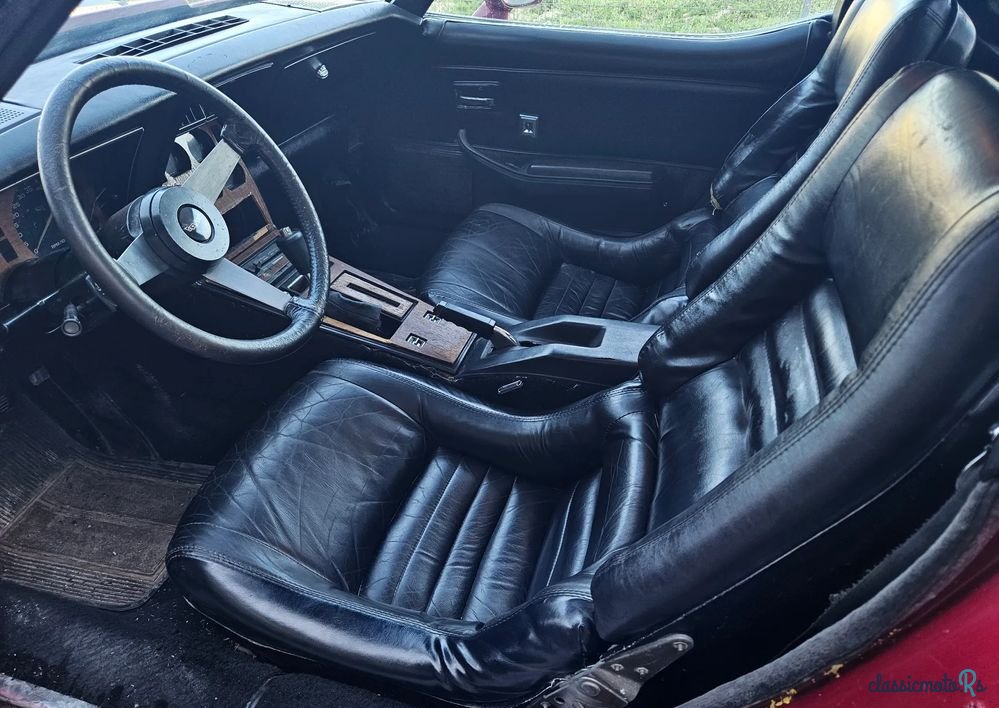 1979' Chevrolet Corvette photo #4