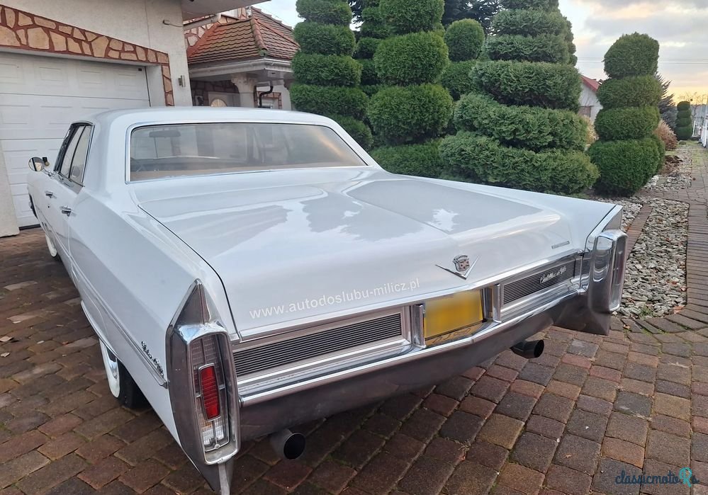 1965' Cadillac Deville photo #5