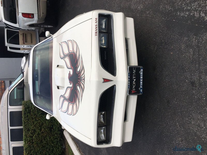 1977' Pontiac Firebird photo #3