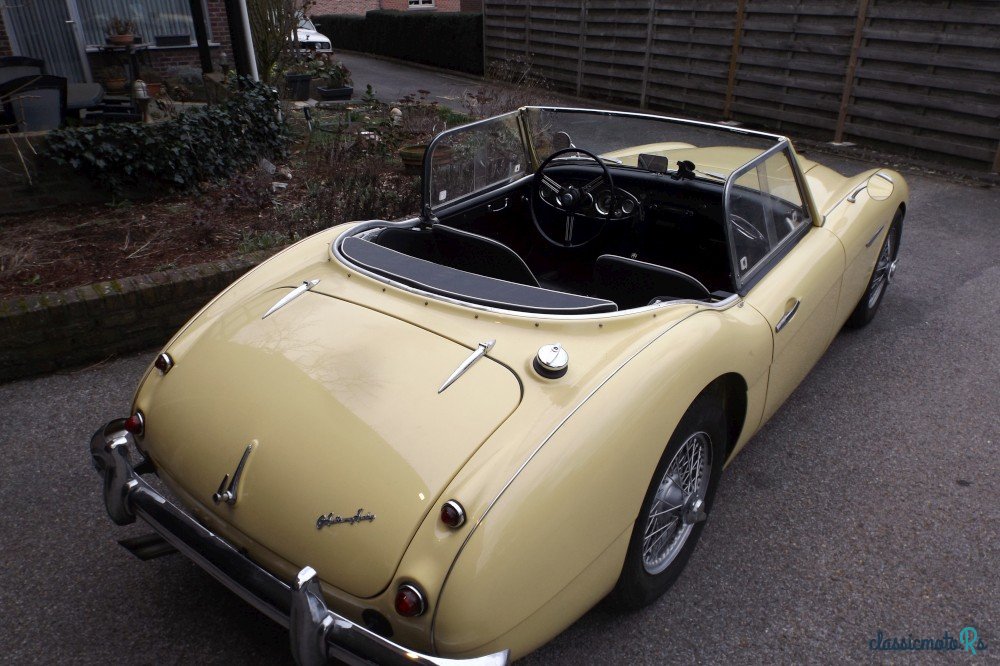 1956' Austin-Healey 100-6 photo #1