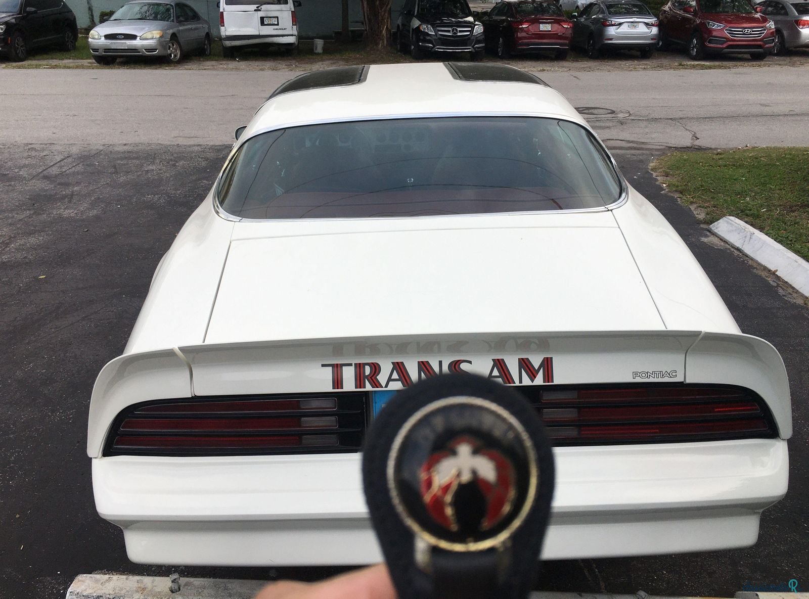 1977' Pontiac Firebird photo #4