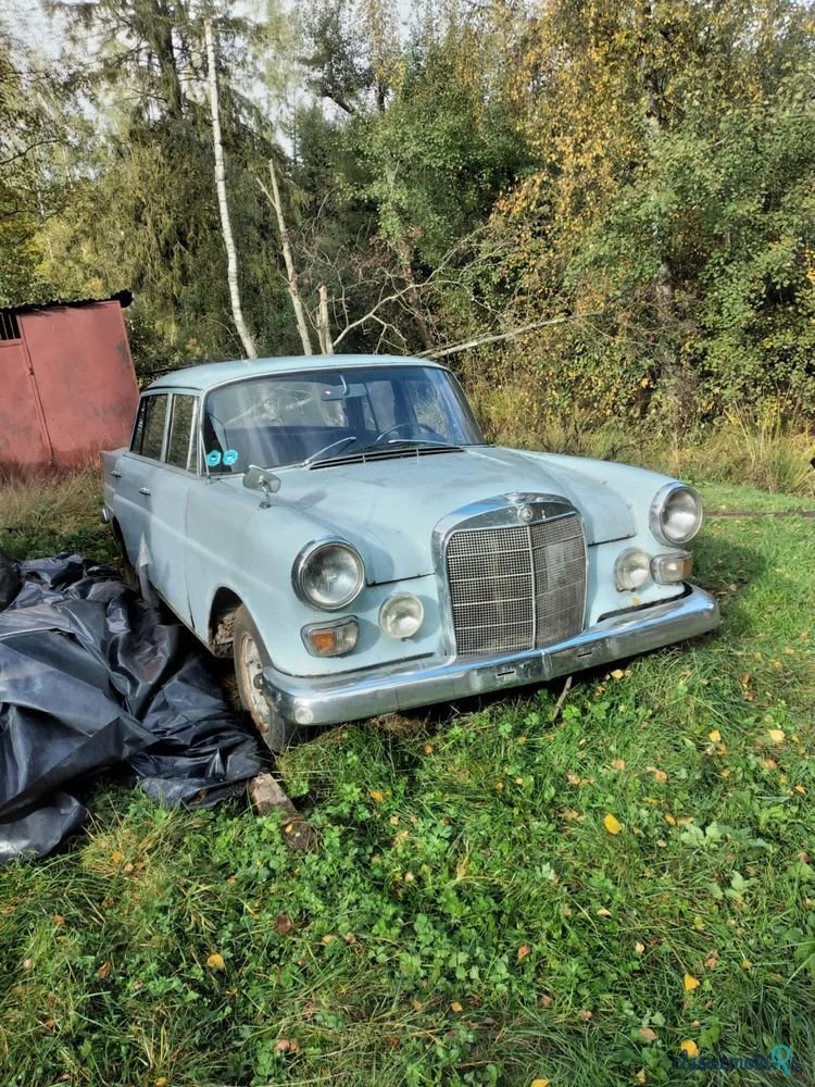 1968' Mercedes-Benz photo #5