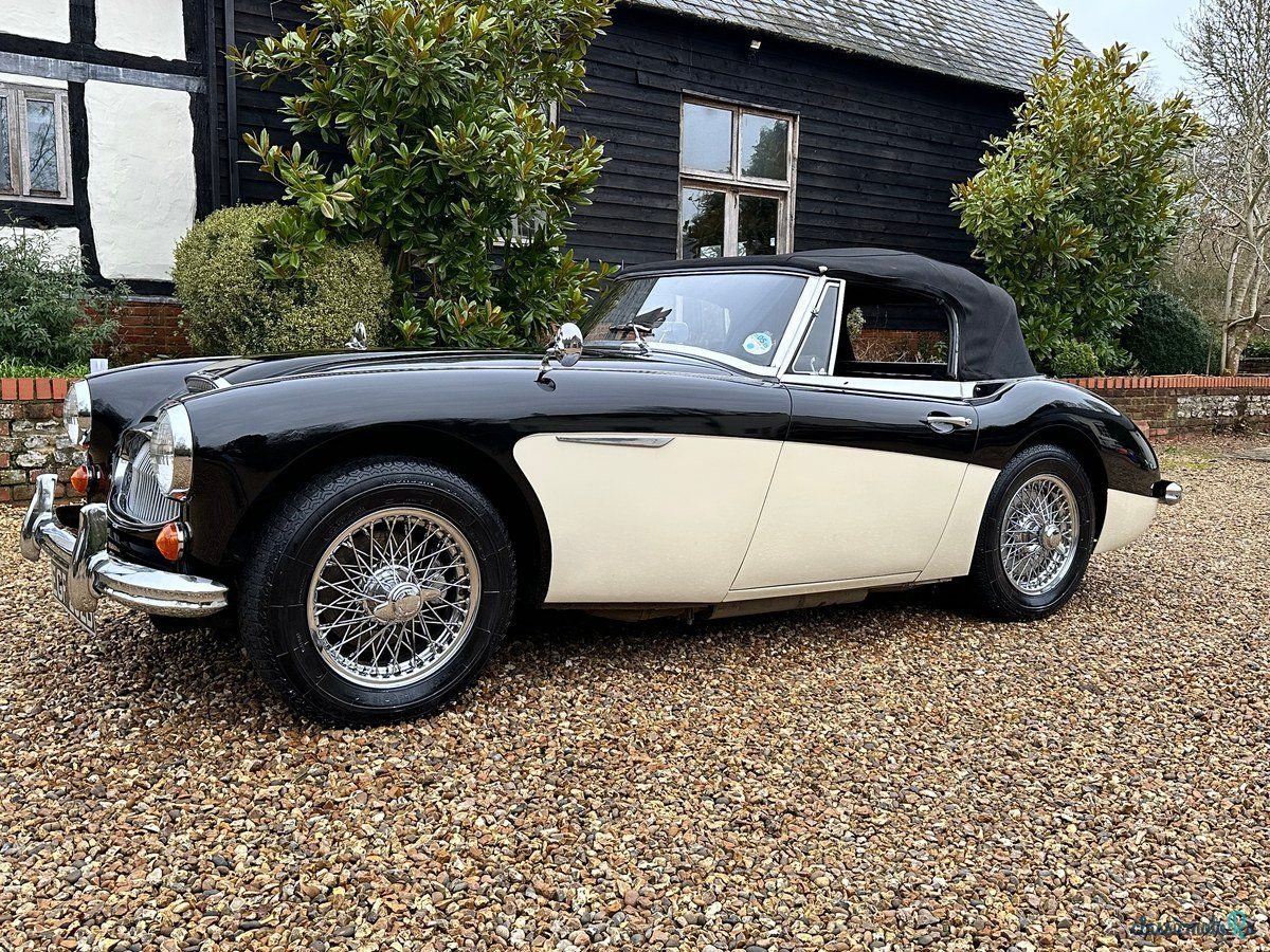 1964' Austin-Healey 3000 photo #4
