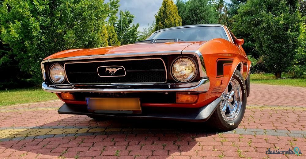 1971' Ford Mustang photo #3