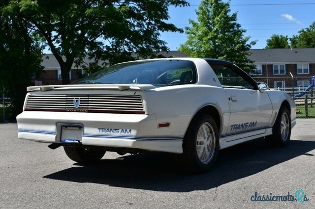 1984' Pontiac Firebird photo #4