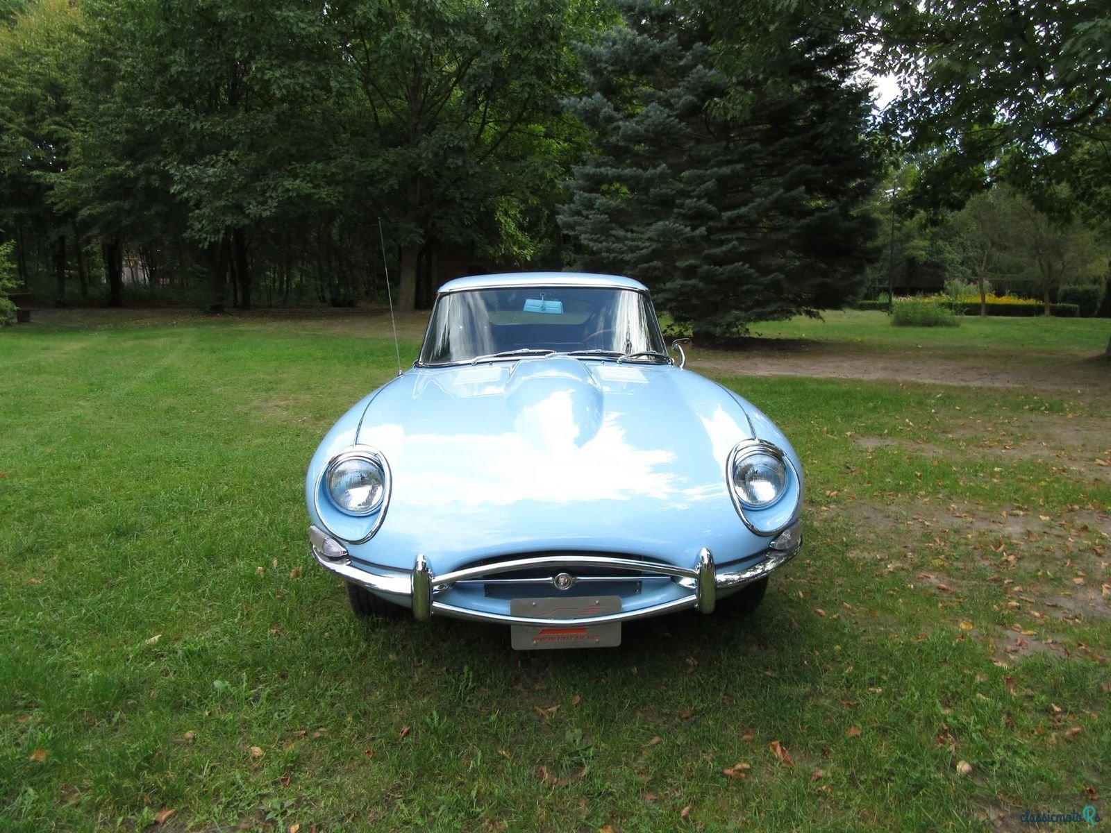 1968' Jaguar E-Type photo #2