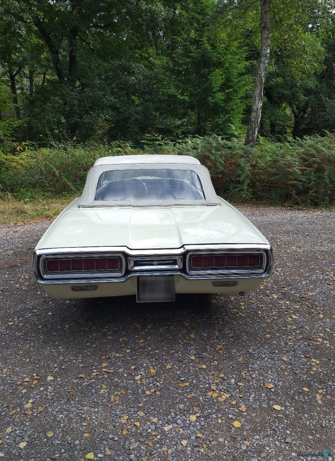 1965' Ford Thunderbird photo #4