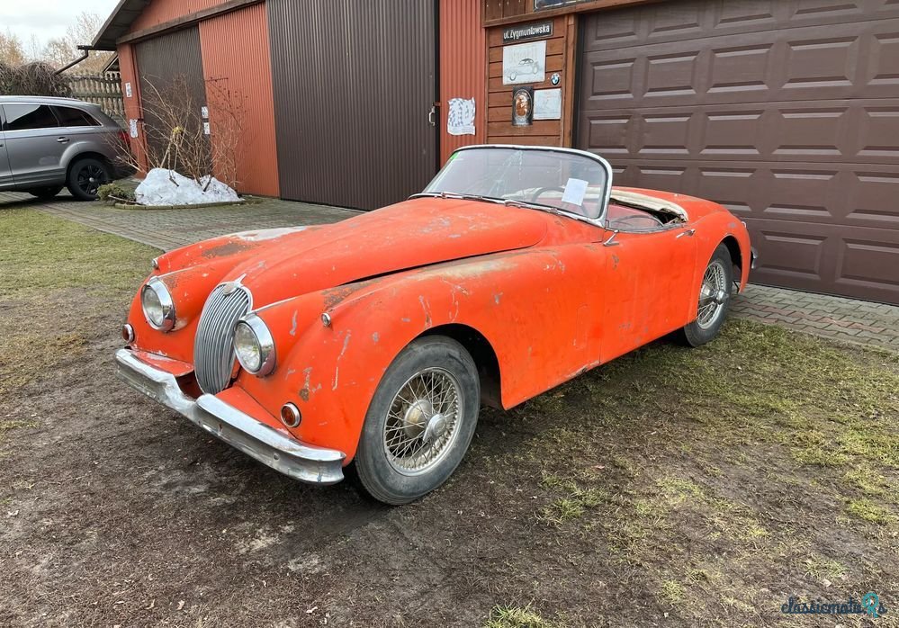 1959' Jaguar XK photo #1