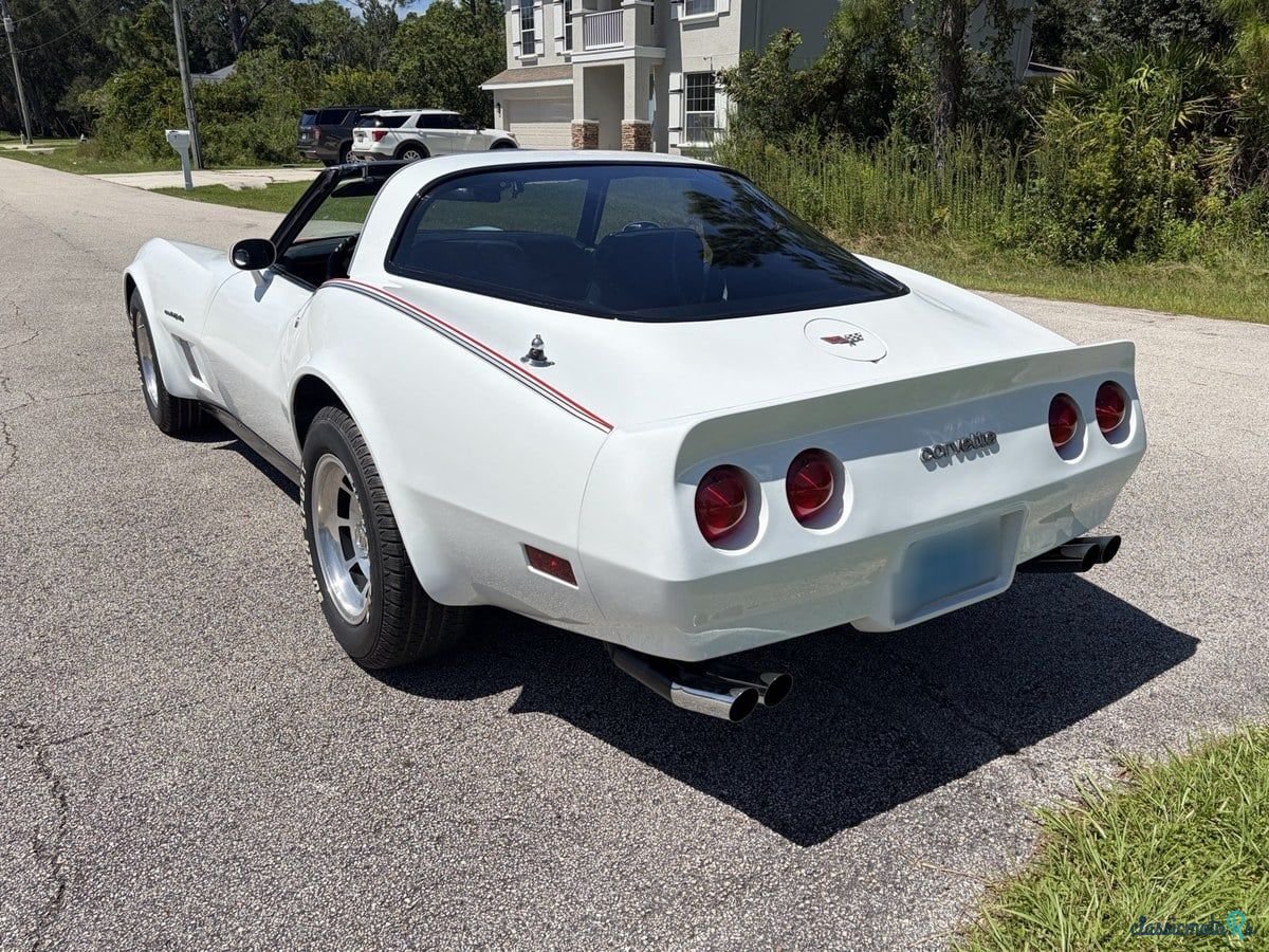 1982' Chevrolet Corvette photo #2