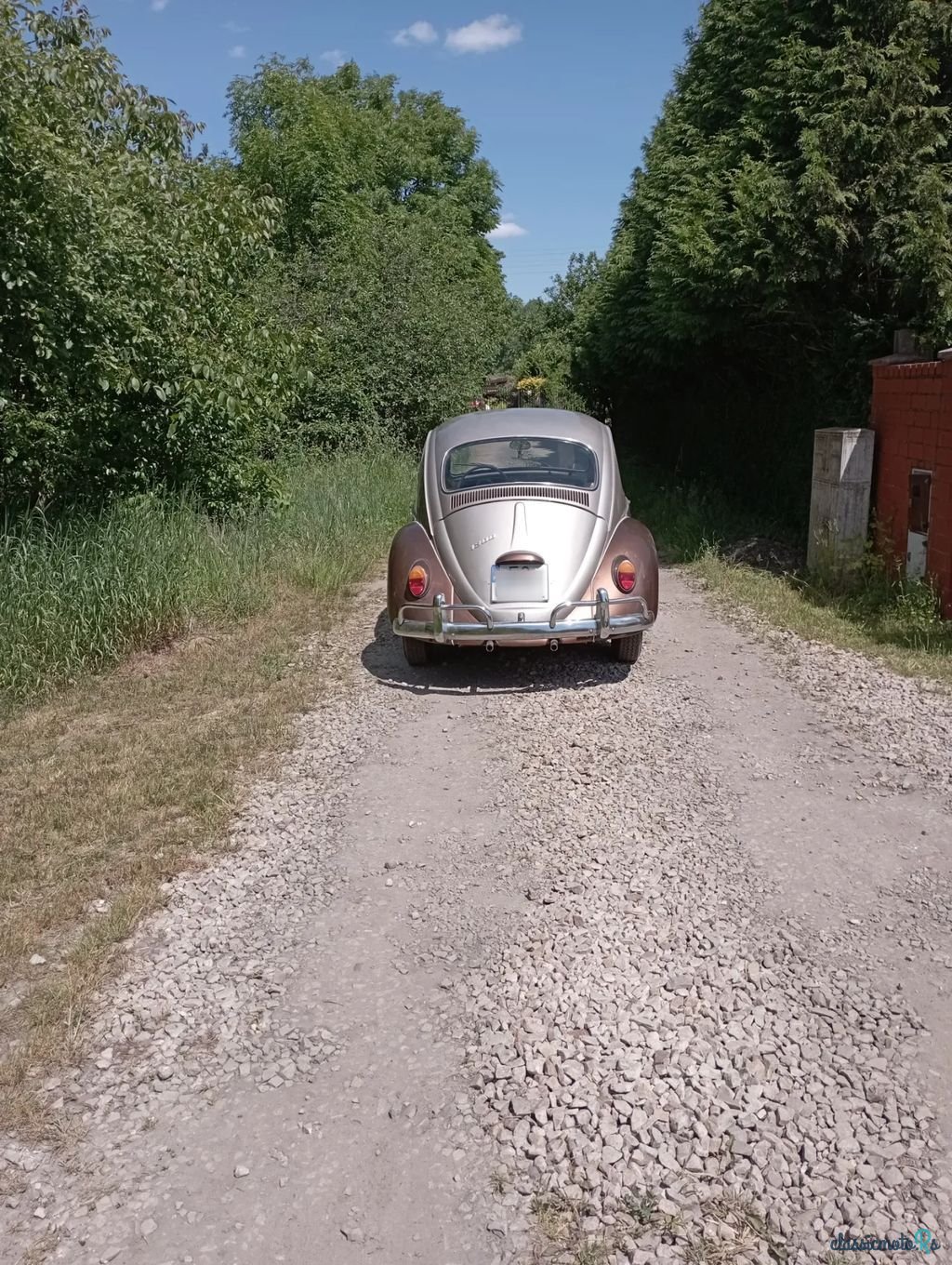 1969' Volkswagen Garbus photo #3