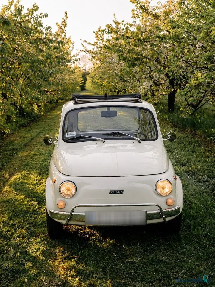 1971' Fiat 500 photo #1