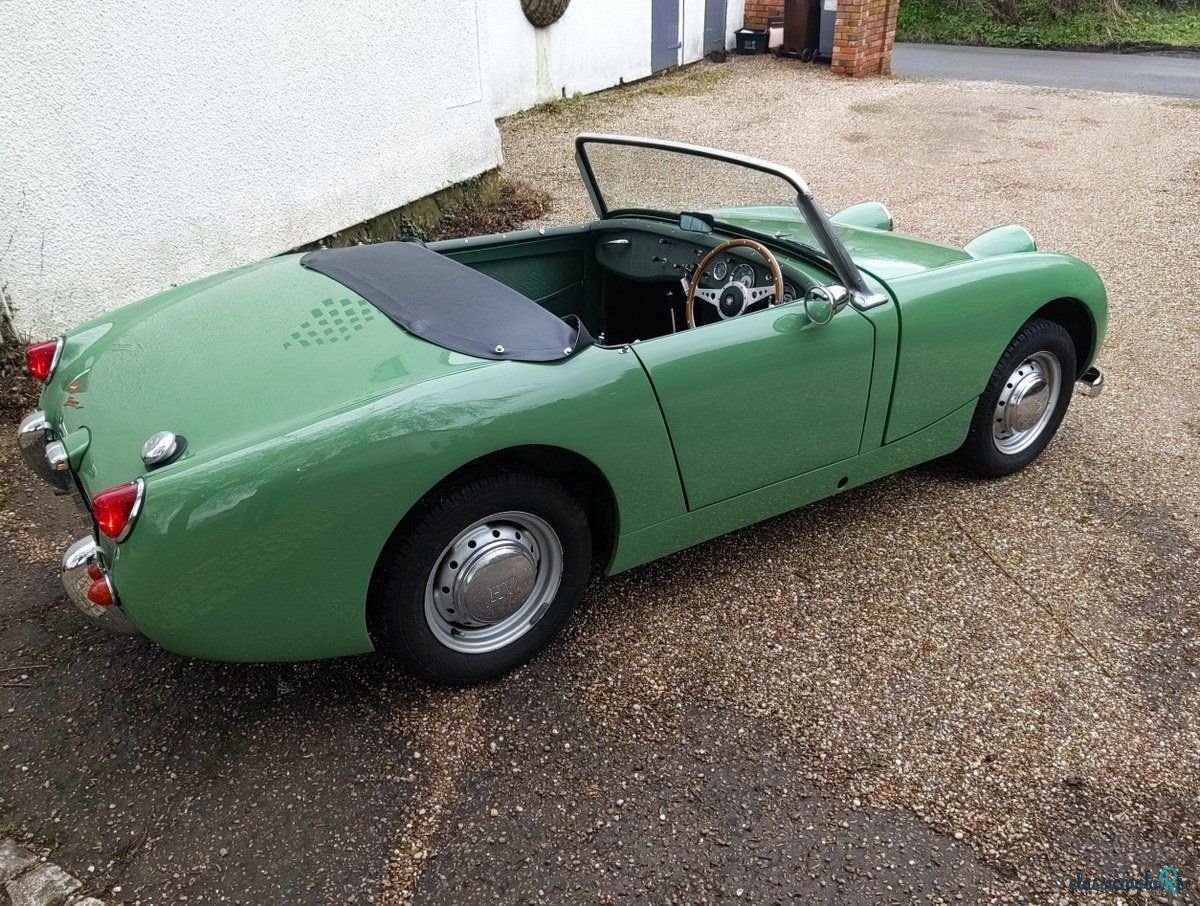 1961' Austin-Healey Sprite photo #3