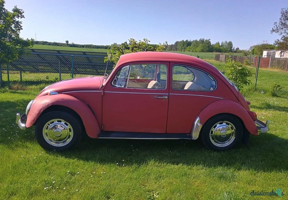 1967' Volkswagen Garbus photo #5