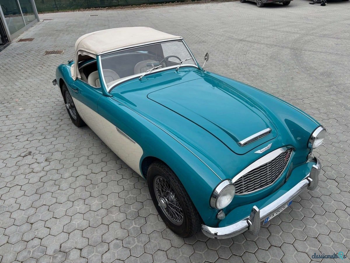 1959' Austin-Healey 3000 photo #1