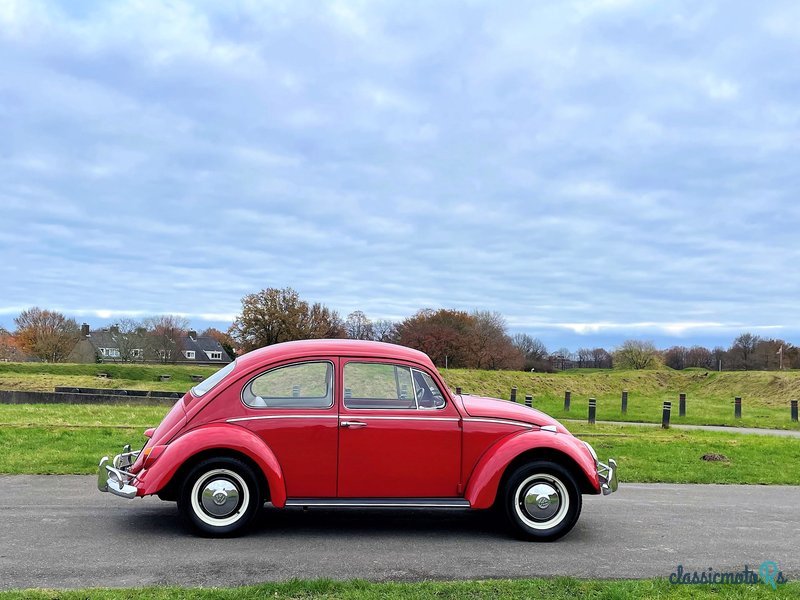 1966' Volkswagen Beetle photo #4
