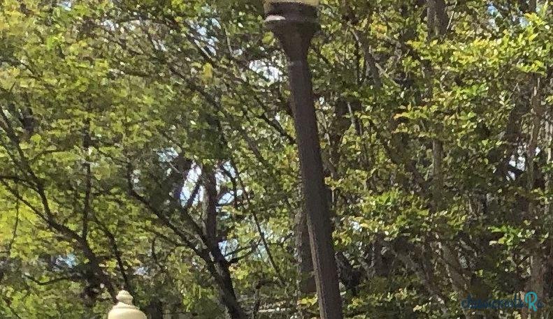 1958' Chevrolet Apache photo #2