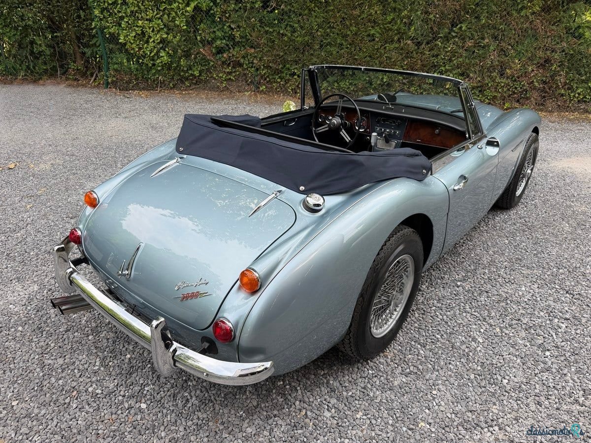 1966' Austin-Healey 3000 photo #4