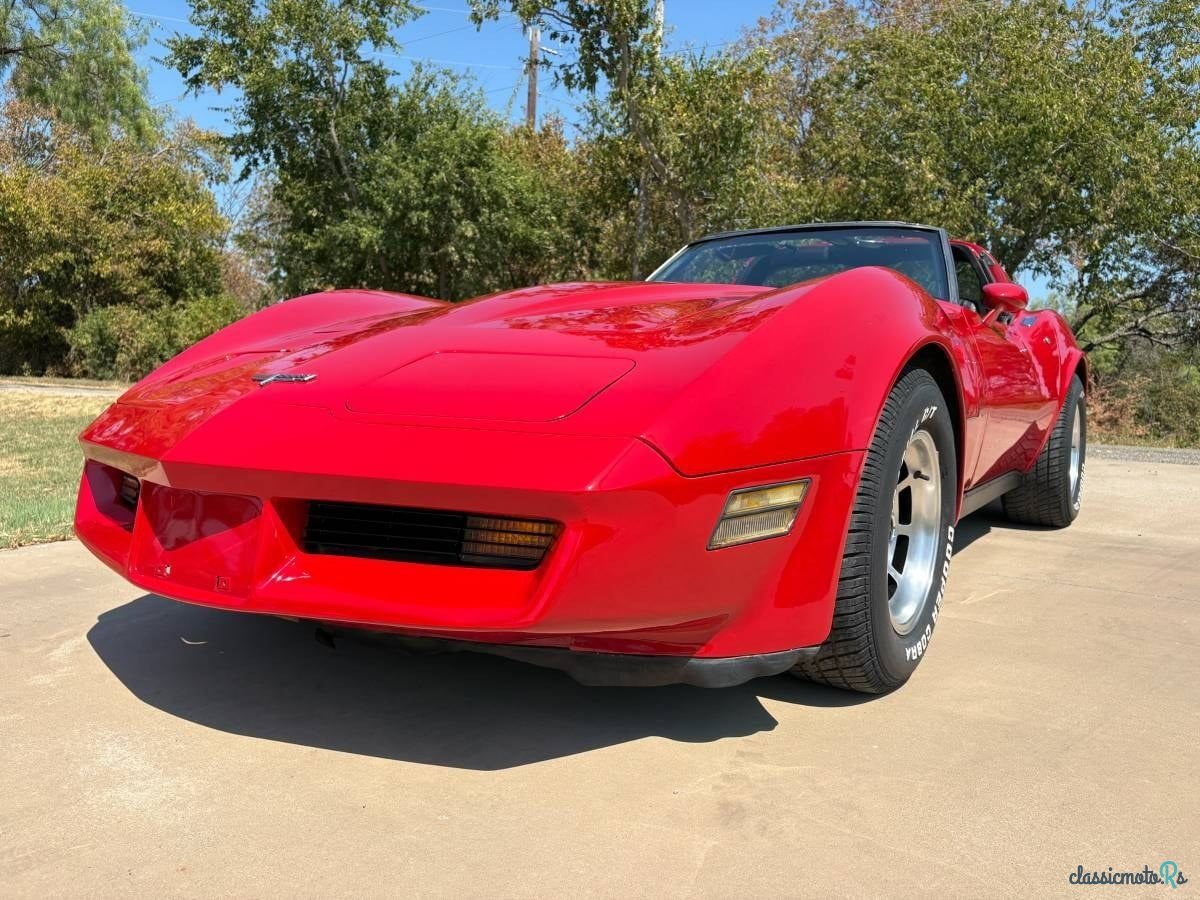 1981' Chevrolet Corvette photo #6