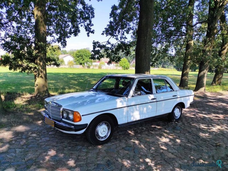 1979' Mercedes-Benz W123 photo #3