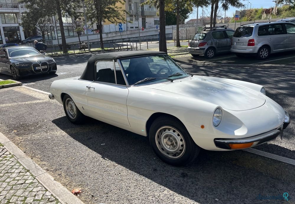 1976' Alfa Romeo Spider photo #1