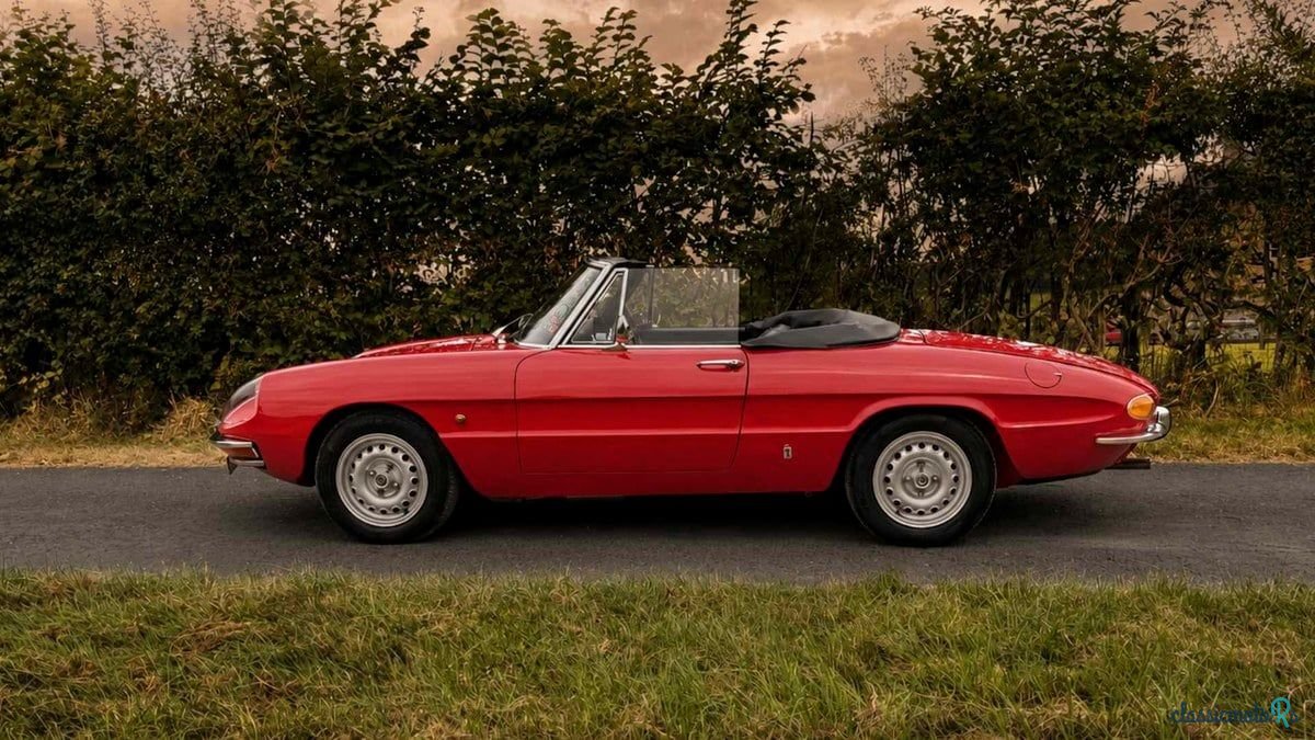 1967' Alfa Romeo Giulia photo #5