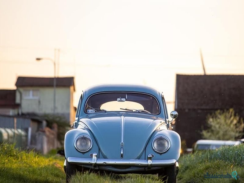 1956' Volkswagen Garbus photo #1