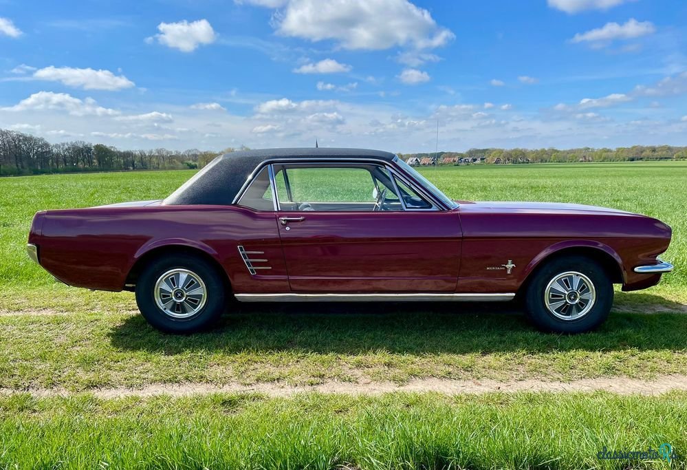 1966' Ford Mustang photo #3