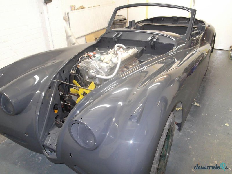 1953' Jaguar Xk120 Dh Coupe photo #1