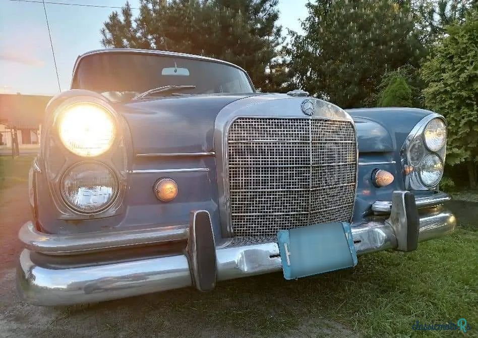 1967' Mercedes-Benz 230 S W111 photo #1