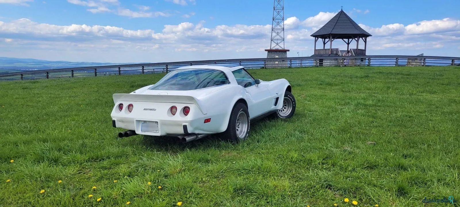 1978' Chevrolet Corvette photo #2