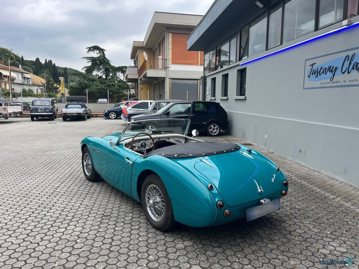 1957' Austin-Healey 100-6 photo #3