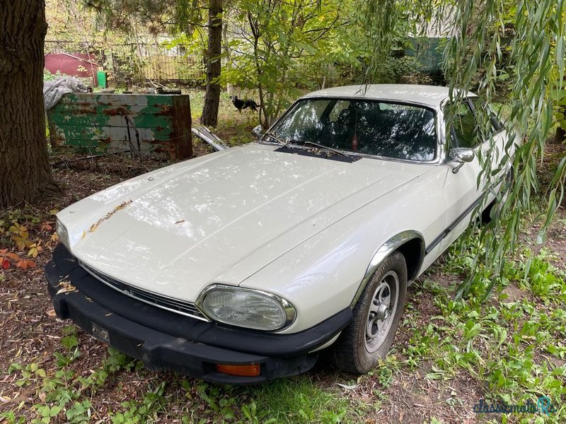 1976' Jaguar XJS photo #5