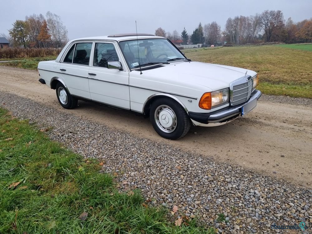 1979' Mercedes-Benz W123 photo #3