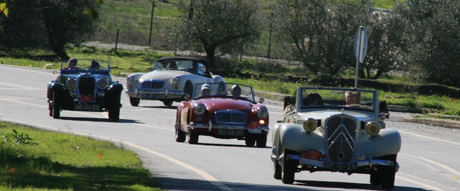 CPAA promove Passeio de Outono pelas paisagens de Sintra e Mafra