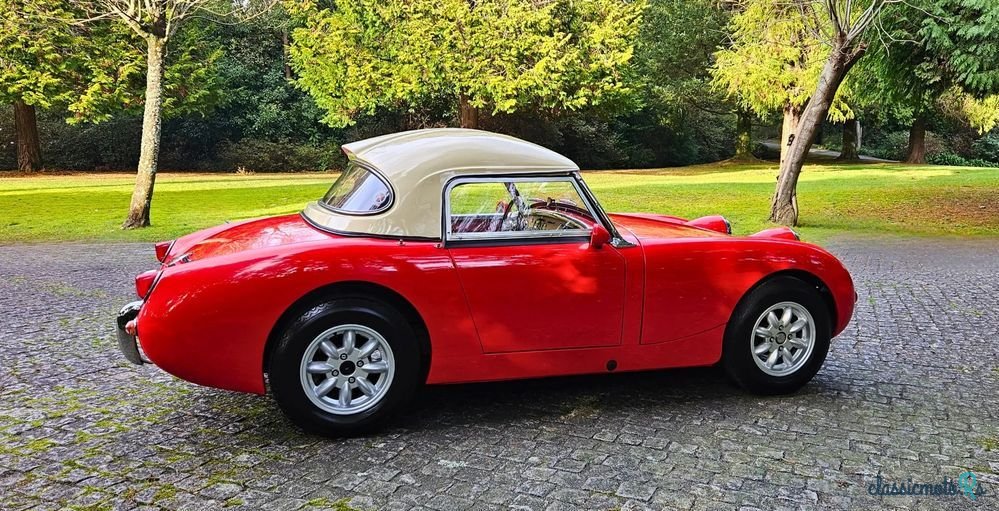 1961' Austin-Healey Sprite Mk I photo #4