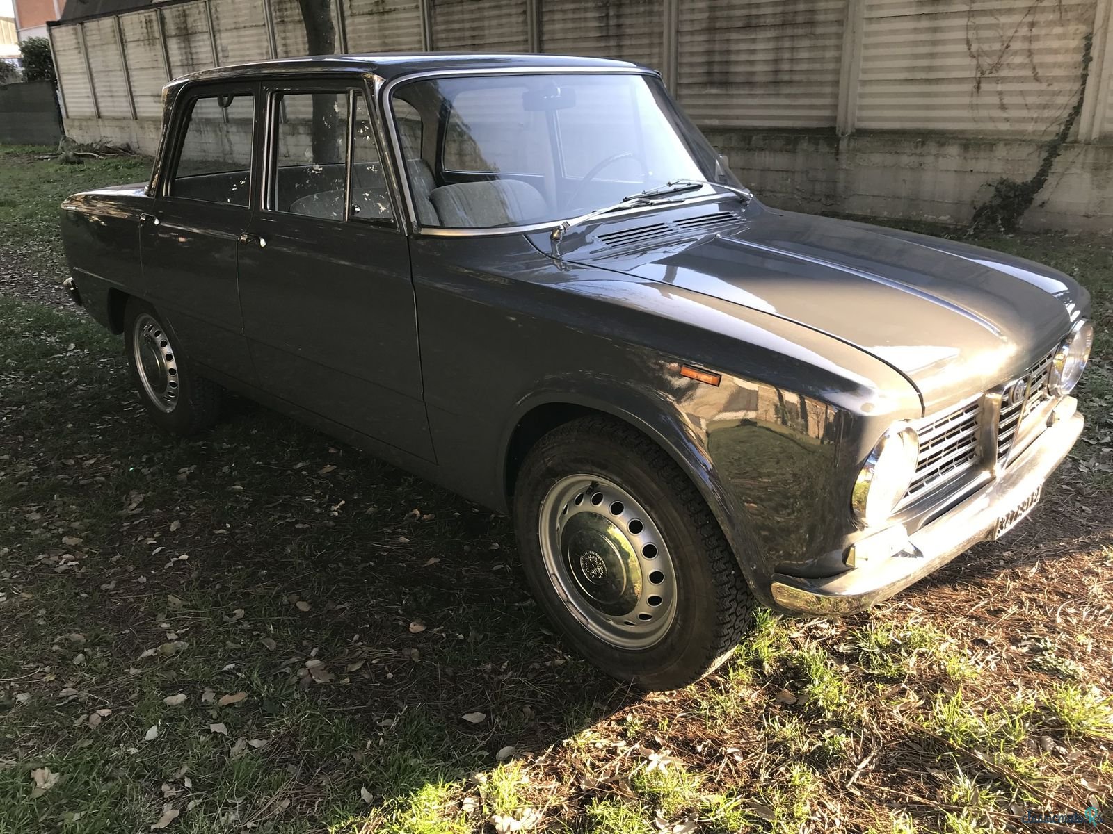 1964' Alfa Romeo Giulia photo #4