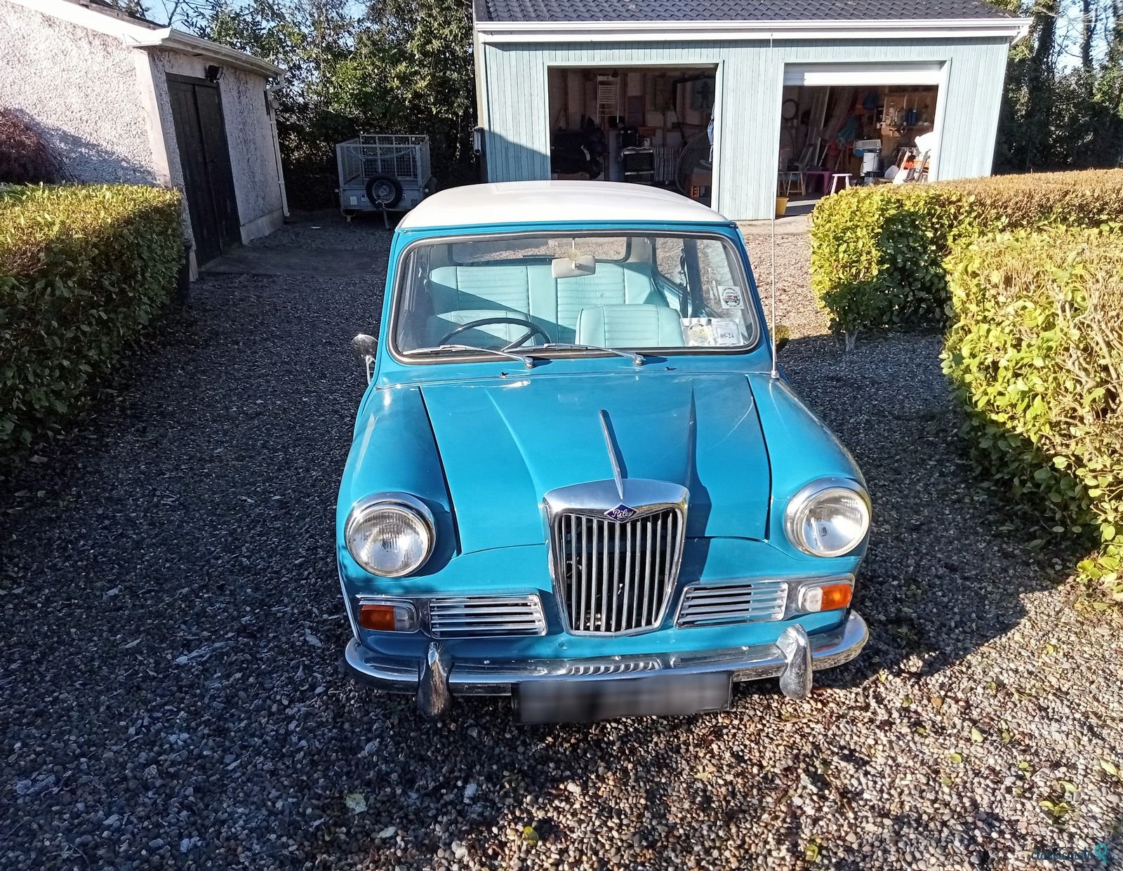 1969' Riley Elf photo #6