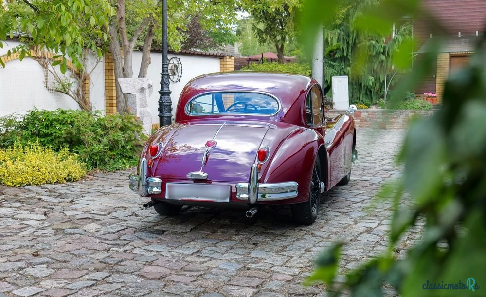 1955' Jaguar XK photo #6