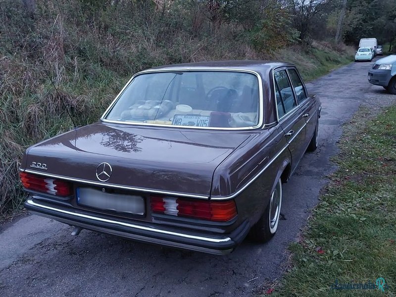 1979' Mercedes-Benz W123 photo #2